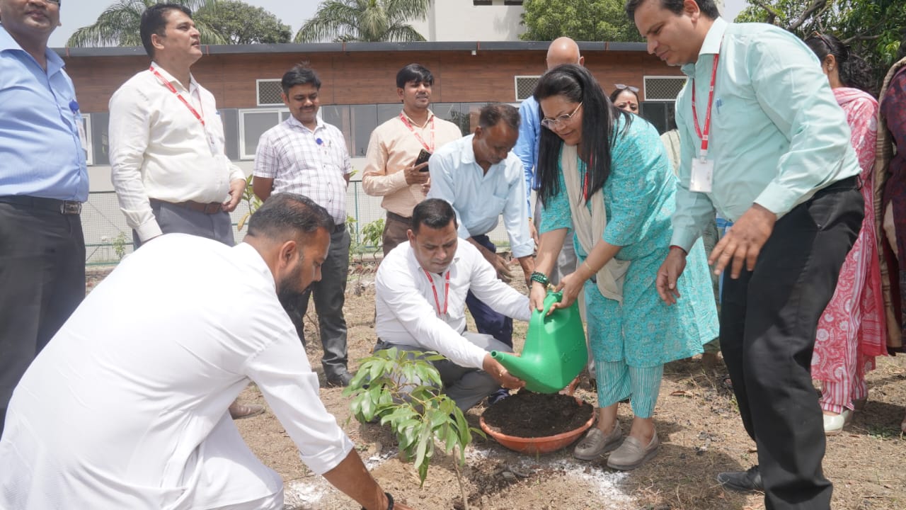 sgrr university dehradun