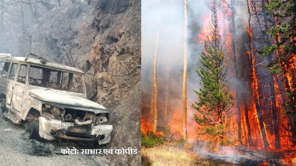 अल्मोड़ा अग्निकांड बिन्सर वन्यजीव विहार-2